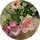 Felicitas